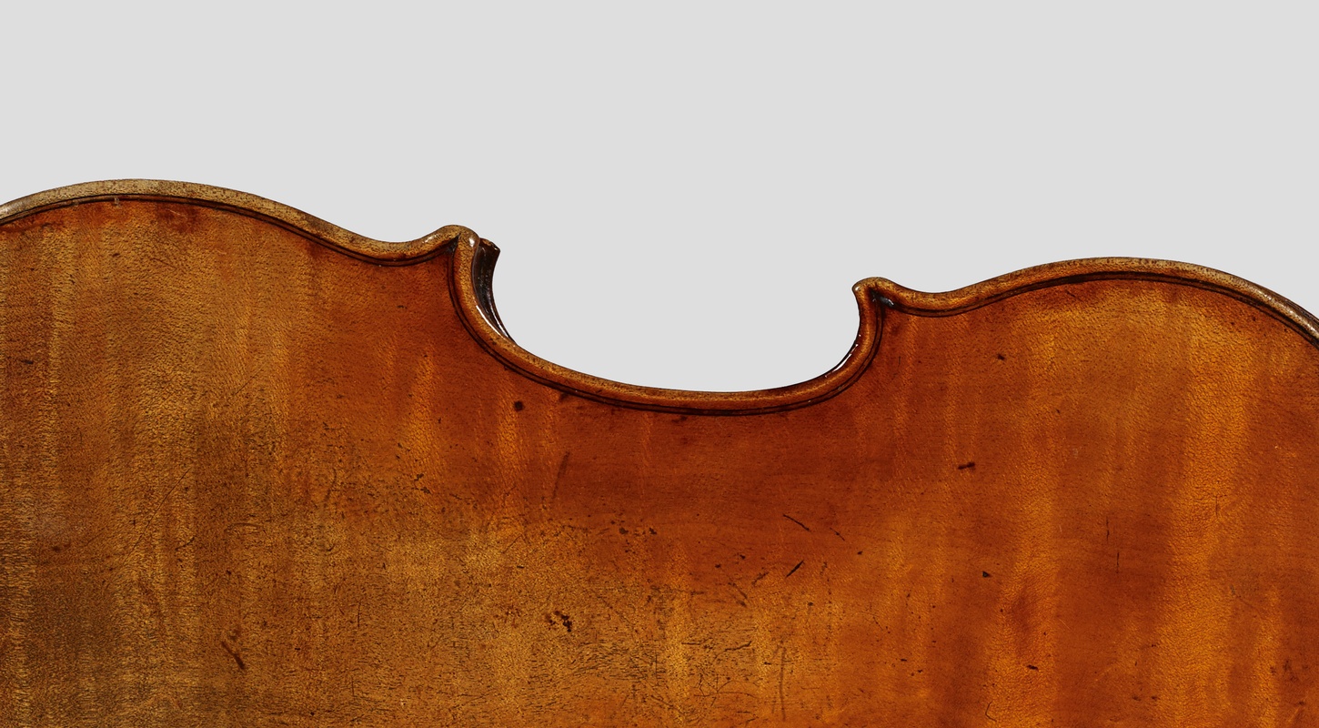 back of 1772 Guadagnini violin