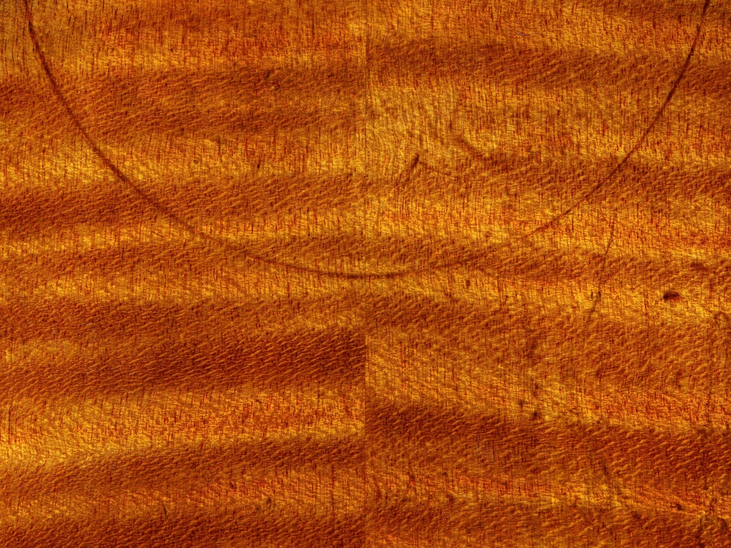 Art print of Stradivari instrument by Robert Brewer Young